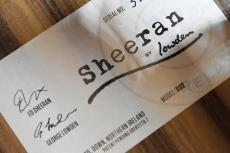 Sheeran BY Lowden S-02_15