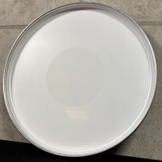 REMO CS-0814-ABJP [ARTBEAT Artist Collection Drumhead - José Pasillas, Candy Skull 14"]_2