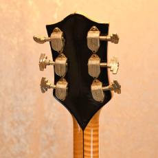 Gretsch 6193 Country Club_5
