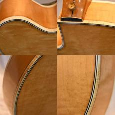 Gretsch 6193 Country Club_10