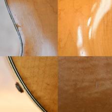 Gretsch 6193 Country Club_11