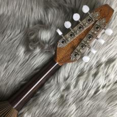 宮野厚志 M-1bisEm【宮野厚志】【マンドリン】_8