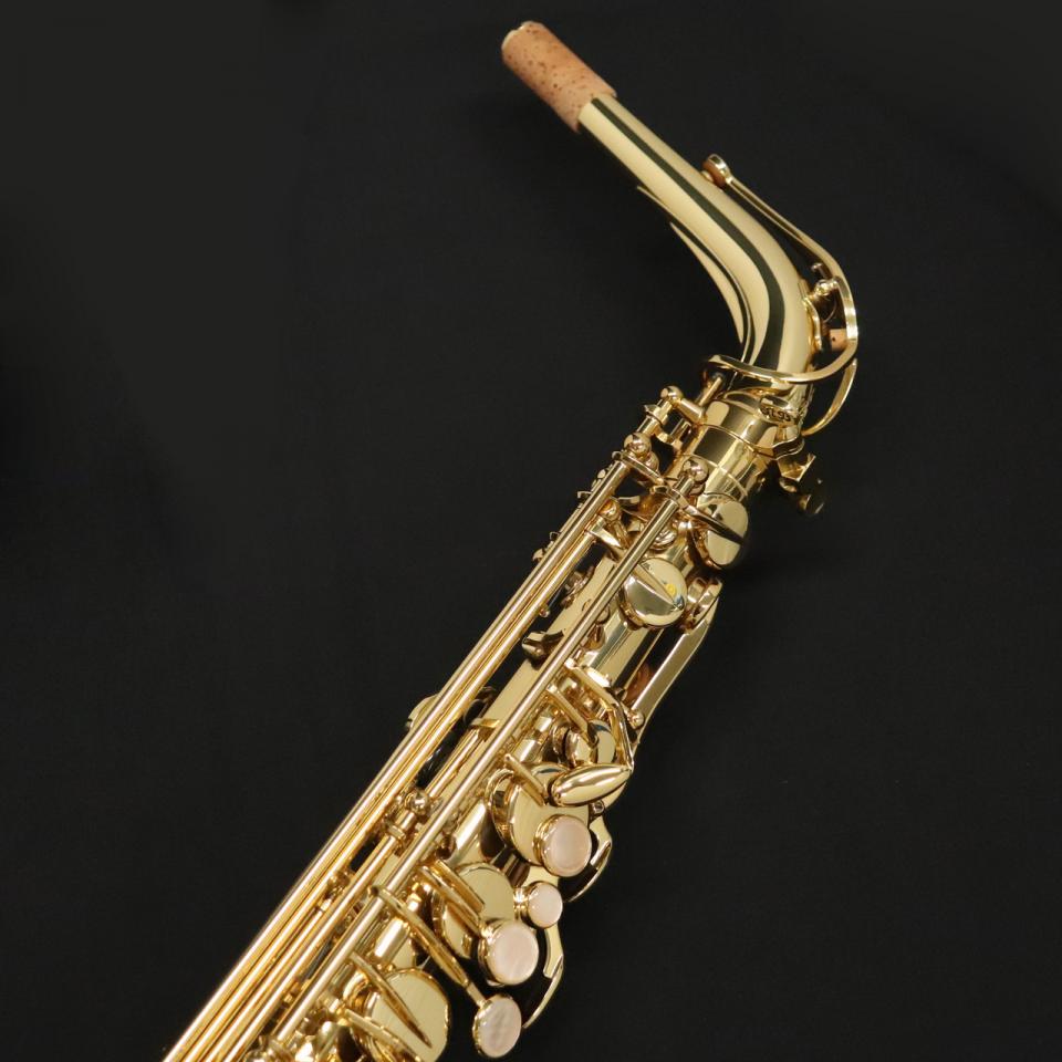 SELMER SA80/II ALTO SAX JUBILEE GL WE【小串俊寿氏選定品】 新品