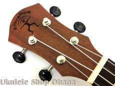 aNueNue [aNN-MCM] ミニコンサート マホガニー合板_5