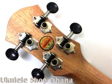 aNueNue [aNN-MCM] ミニコンサート マホガニー合板_6