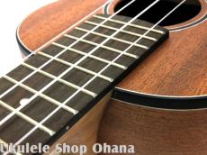 aNueNue [aNN-MCM] ミニコンサート マホガニー合板_7