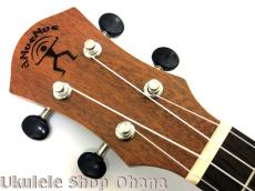 aNueNue [aNN-MCM] ミニコンサート マホガニー合板_5