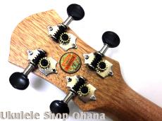 aNueNue [aNN-MCM] ミニコンサート マホガニー合板_6