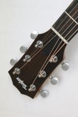 Taylor 24ce【新モデル】_3