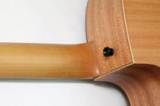 Taylor 24ce【新モデル】_5