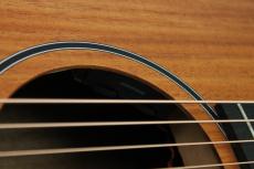 Taylor 24ce【新モデル】_6