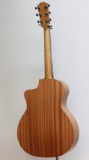 Taylor 24ce【新モデル】_8