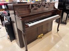 PRAMBERGER チュウコ/PV110F