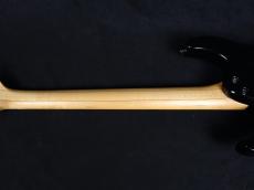 FUJIGEN Elan SEL-BS-DL HH BK 2010_8