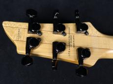 FUJIGEN Elan SEL-BS-DL HH BK 2010_9