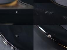 FUJIGEN Elan SEL-BS-DL HH BK 2010_11