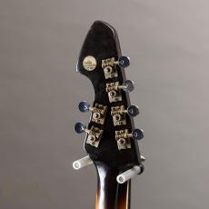 Teisco WG-4L Reborn Custom By Humpback Engineering_9