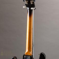 Teisco WG-4L Reborn Custom By Humpback Engineering_10