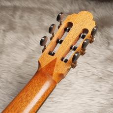 Philip Woodfield[フィリップ・ウッドフィールド] GCⅢ_14