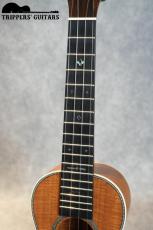 Naturel Tenor Custom (2024)　指板にサファイアが埋め込まれたカスタム品です!_7