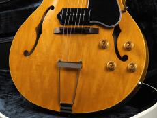 KING SNAKE Curtis ~Amber Natural~_7