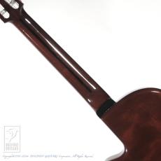 SAND GUITARS Custom Sand Guitar with Fleur de Lis_6