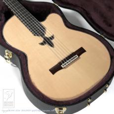 SAND GUITARS Custom Sand Guitar with Fleur de Lis_15