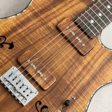 Provision TEC-TL/LTD-KARAKUSA #070 35th Anniversary Custom ≒3.05kg【ハワイアンコアTop】_3