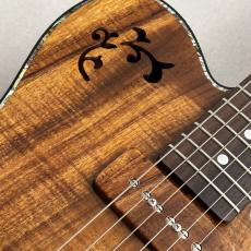 Provision TEC-TL/LTD-KARAKUSA #070 35th Anniversary Custom ≒3.05kg【ハワイアンコアTop】_5