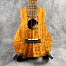 Truth TAC-15 Akio Custom