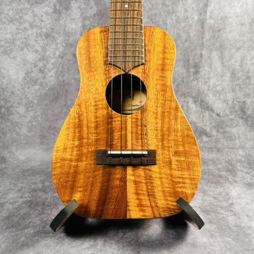 Truth TAC-15 Akio Custom