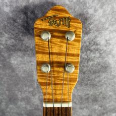 Truth TAC-15 Akio Custom_2