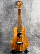 Truth TAC-15 Akio Custom_4