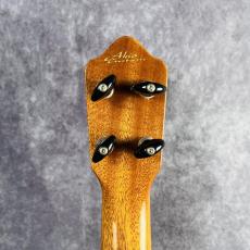 Truth TAC-15 Akio Custom_5