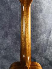 Truth TAC-15 Akio Custom_6