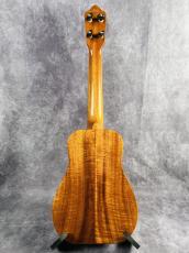 Truth TAC-15 Akio Custom_8