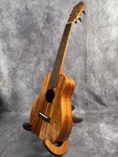 Truth TAC-15 Akio Custom_9