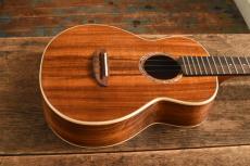 aNueNue Tenor aNN-AAA3_2