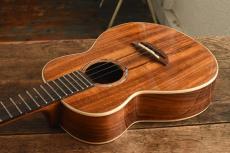 aNueNue Tenor aNN-AAA3_3