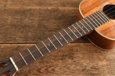 aNueNue Tenor aNN-AAA3_7