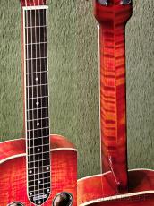 National Scheerhorn MAPLE "Square Neck" -2017USED!!-【48回迄金利0%対象】_7