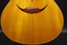 ZEMAITIS AAL-2000 Lotus-E_9