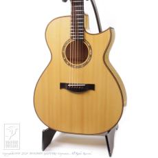 M.Shiozaki F-3 Cutaway (Flamed Maple)【48回無金利対象品】