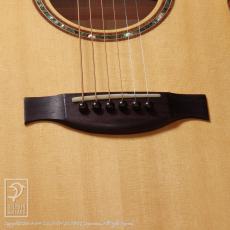 M.Shiozaki F-3 Cutaway (Flamed Maple)【48回無金利対象品】_9