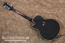 Guild 1970 M-75 Bluesbird_2