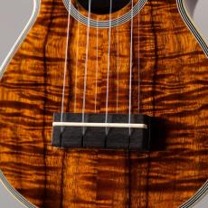 Acoustic World Style3K Soprano Longneck_3
