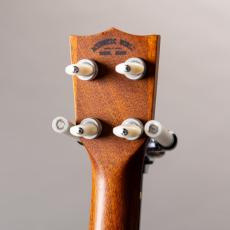 Acoustic World Style3K Soprano Longneck_7