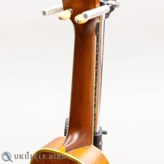 Martin 5K_8