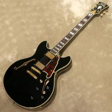 D'Angelico Excel Series Excel DC, Solid Black_2