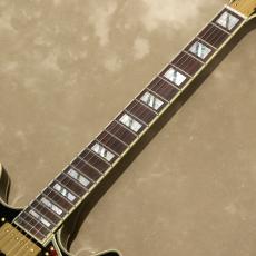 D'Angelico Excel Series Excel DC, Solid Black_6
